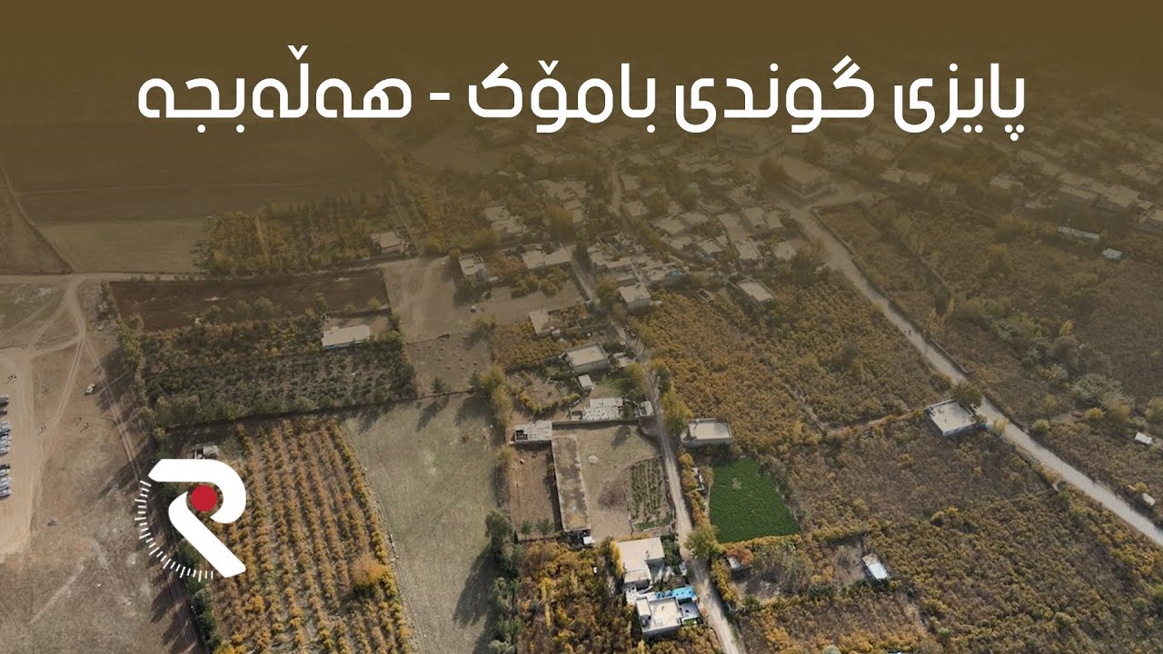 پایزی گوندی بامۆک - هەڵەبجە