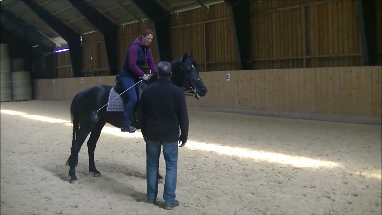 PRE Hengst Doctor LIX und Susanne Schnell im Unterricht bei Desmond O´Brien im Mai 2022