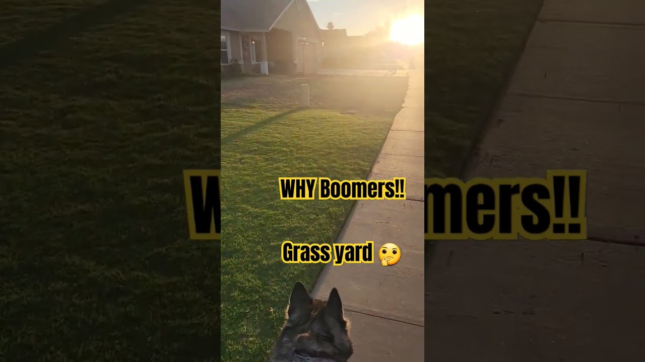 Why do Boomer's love Grass?? 🤔🤔#shorts #boomer #yard #realestate #genz #xeriscape #landscape