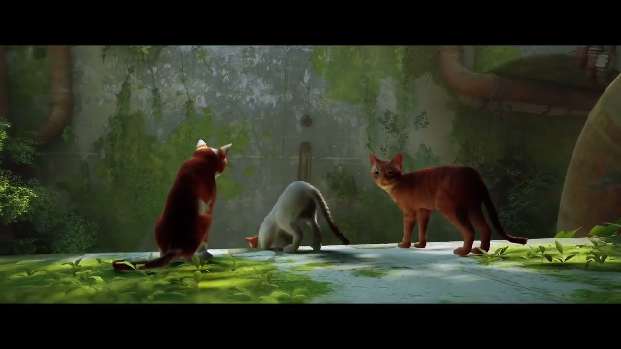 Stray - Full game play-through!
