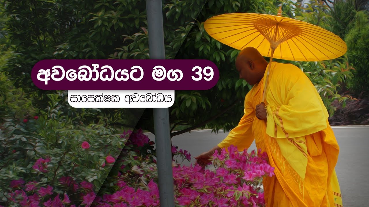 අවබෝධයට මග 39 | සාපේක්ෂක අවබෝධය