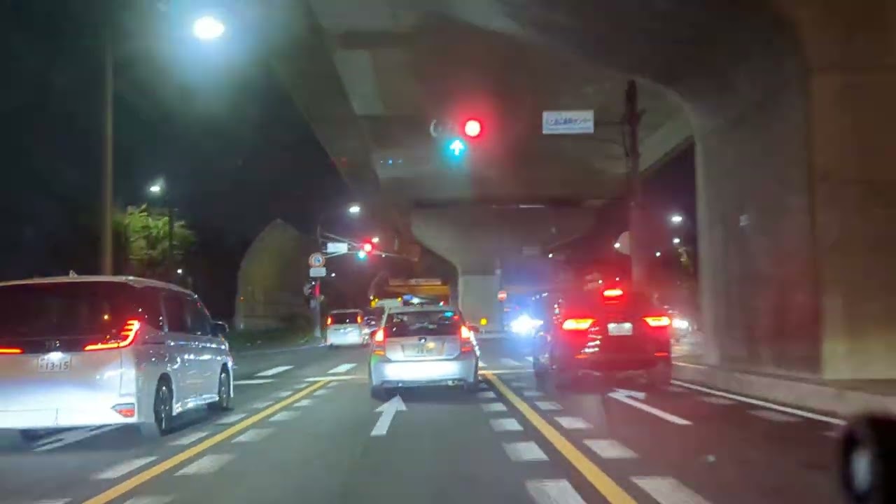 国道298号 埼玉県川口市→八潮市 Car drive camera Japan #automobile #車載カメラ #車載動画 