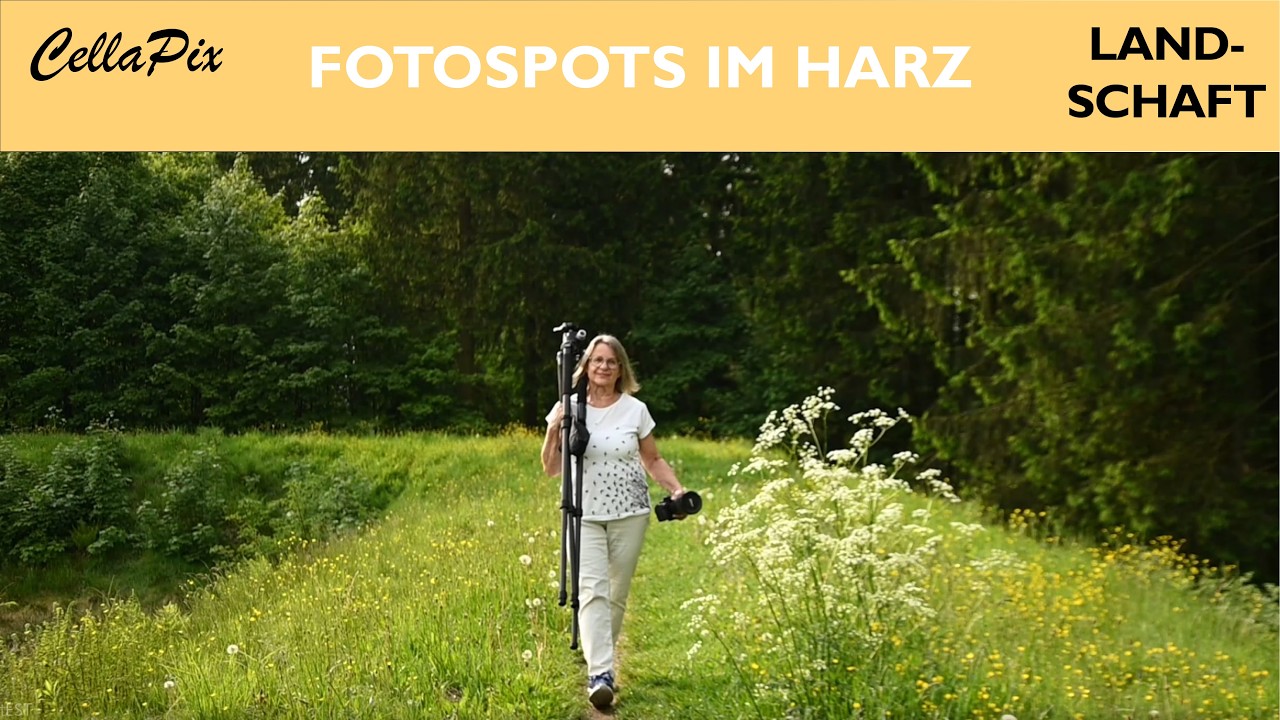 Fotolocations für die Landschaftsfotografie im Harz bei Tag und Nacht – Planung trifft Intuition
