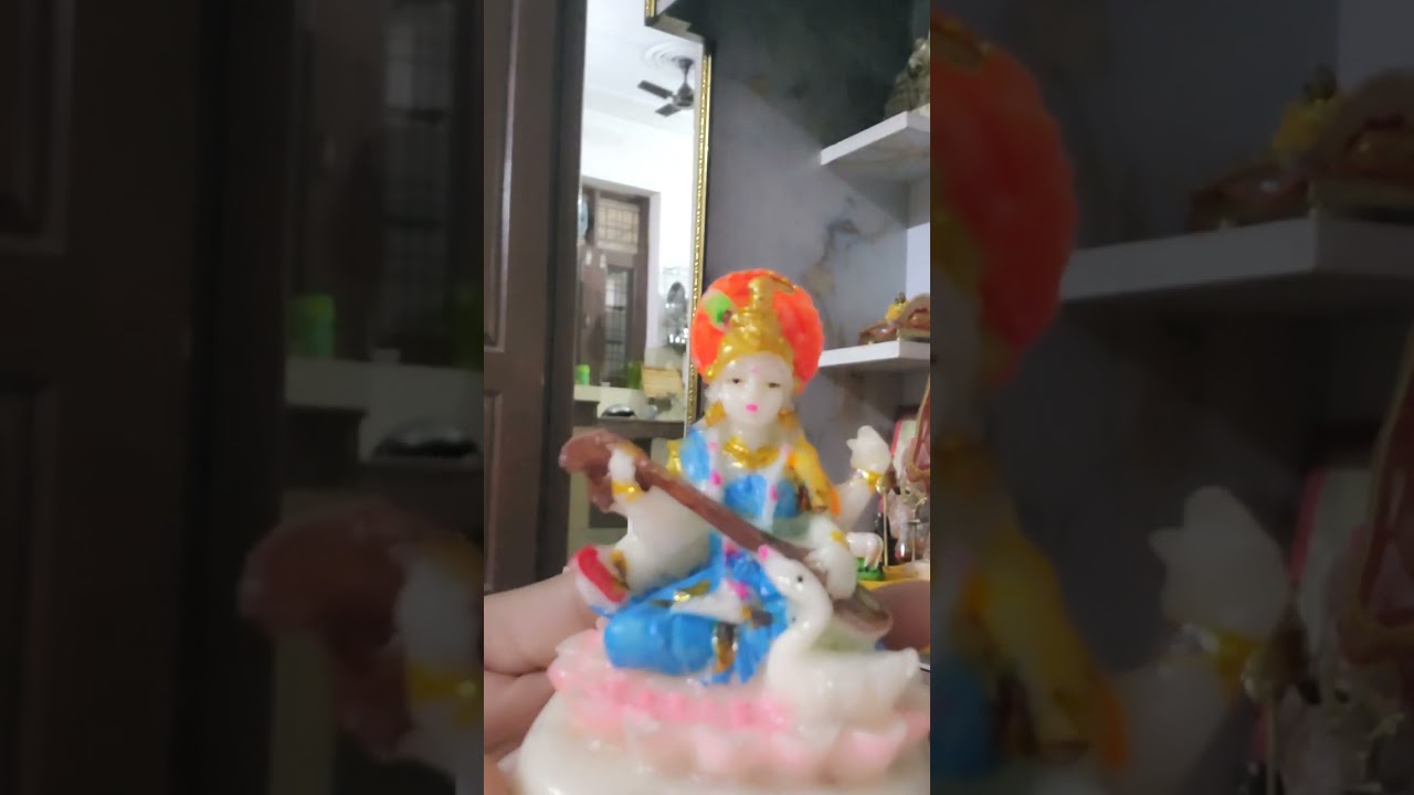 Basant Panchmi vlog