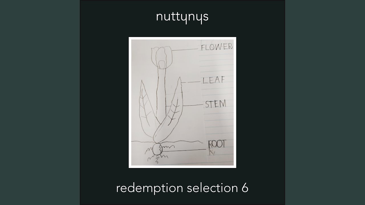 Redemption Selection 6