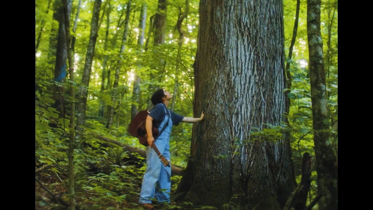 SAVE SOUTH RED BIRD with Hickman Holler Appalachian Relief Fund + Senora May