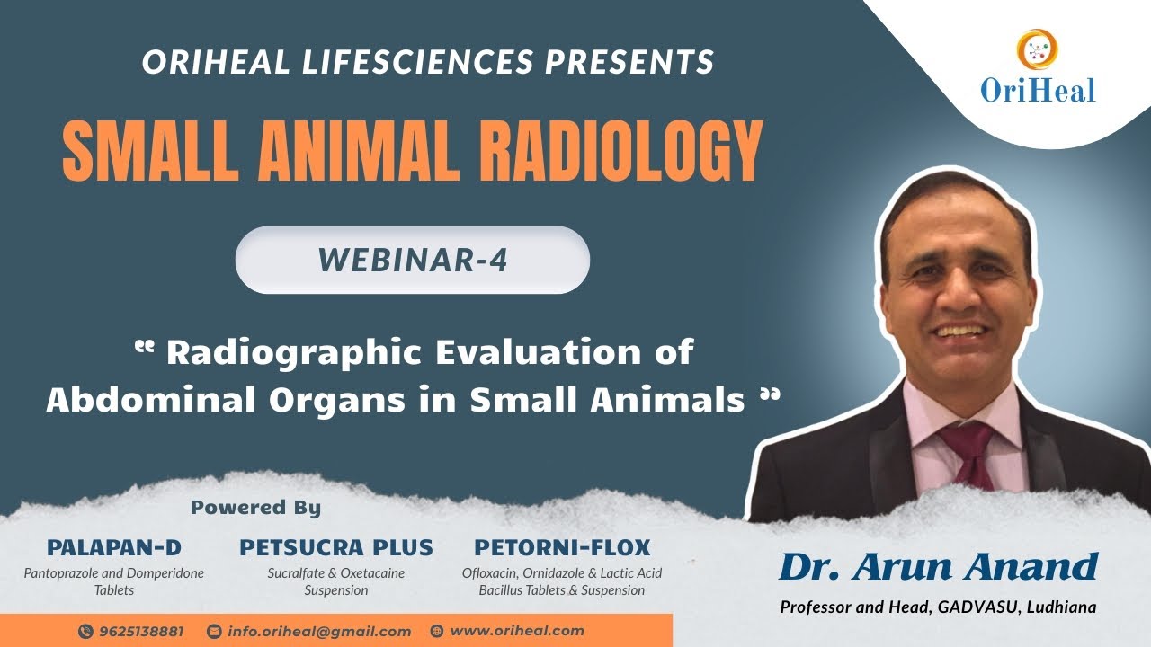 Webinar 4 : Radiographic Evaluation of Abdominal Organs in Small Animals By Dr Arun Anand
