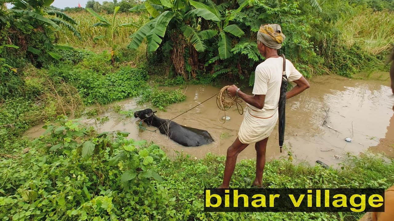 Poor farmer life style in Bihar ..village bike tour
