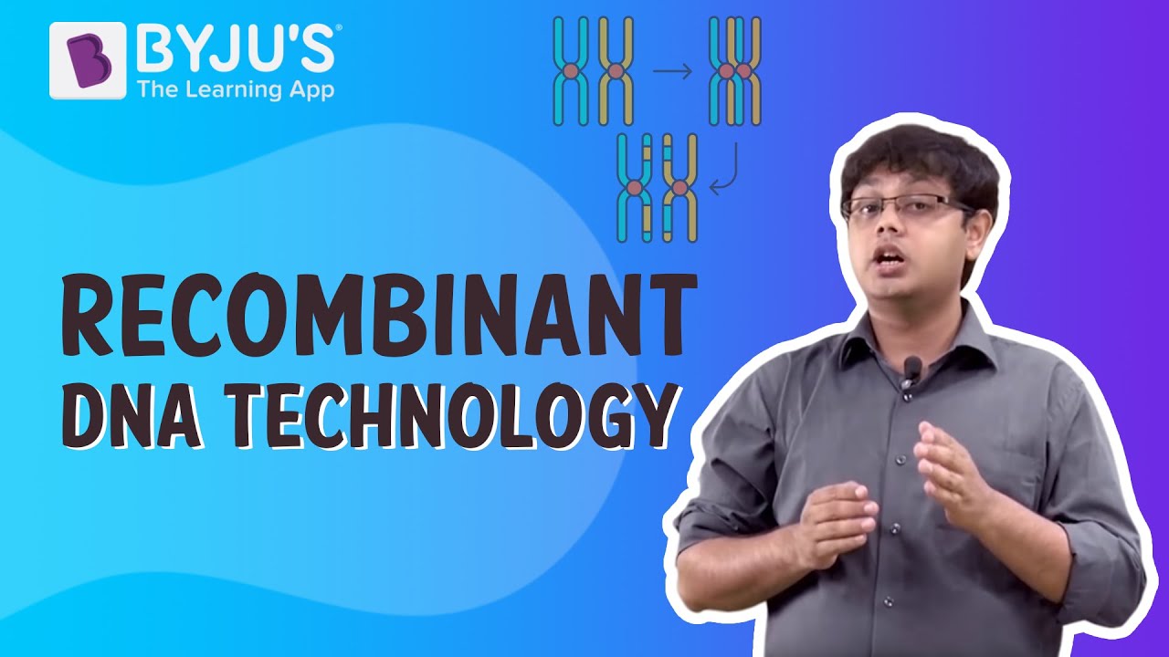 Recombinant DNA Technology Process
