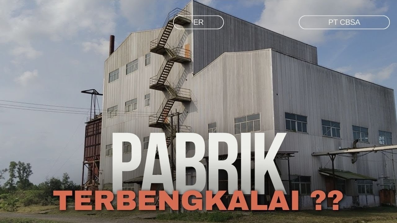 Begini Kondisi Pabrik Singkong Terbesar di Bati-bati Kalimantan Selatan !!!!