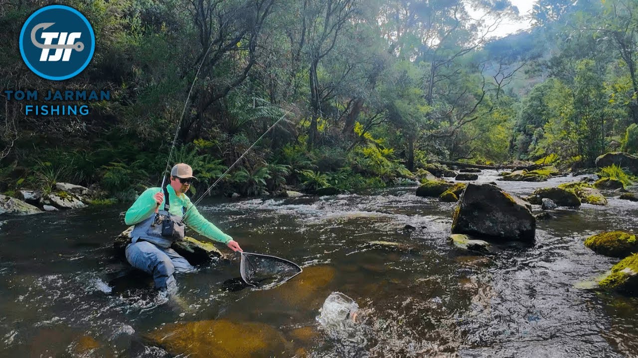 Ловля на сухую мушку в Отвейсе