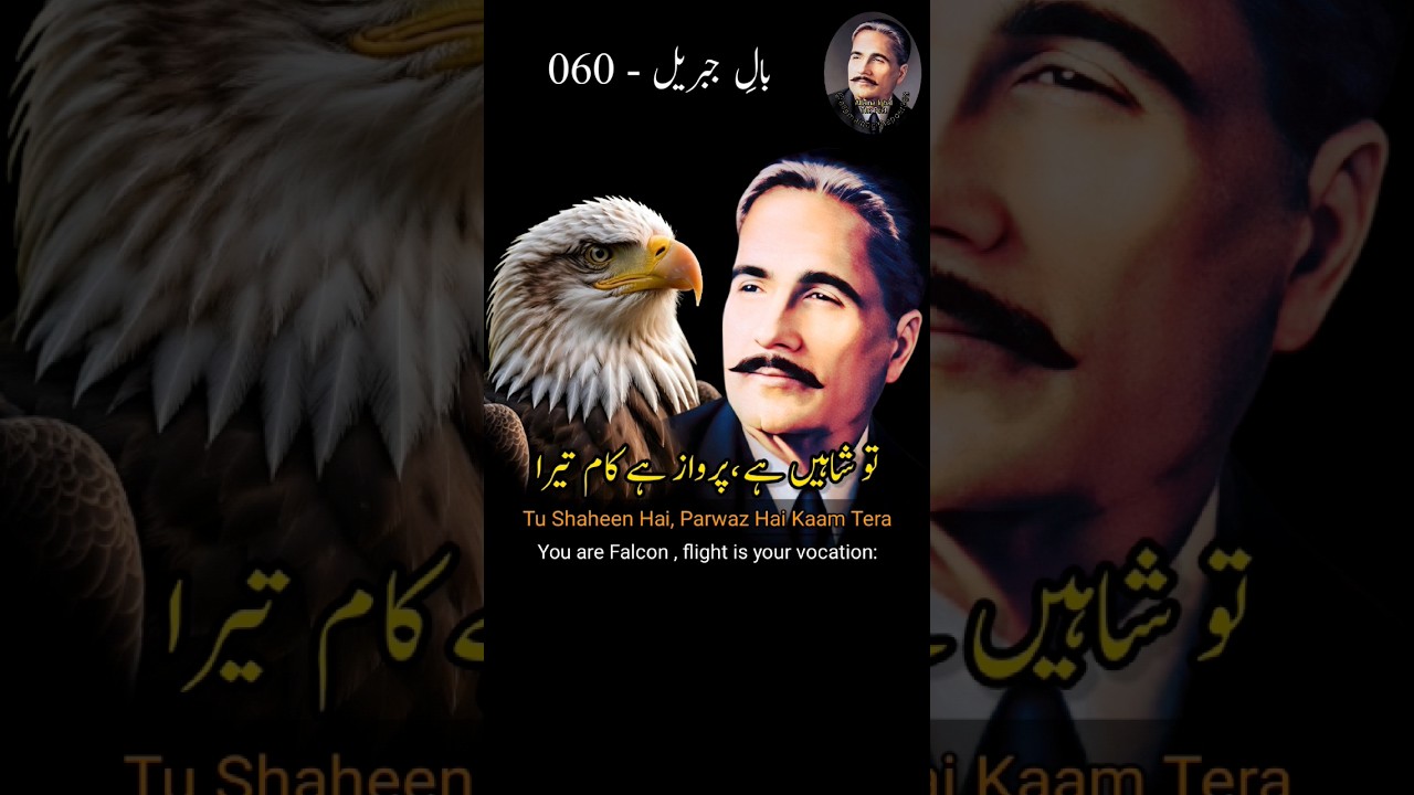 Tu Shaheen Hai , Parwaz Hai Kaam Tera | Bal-e-Jibril 060 | Urdu Shayari #allamaiqbal #iqbaliyat