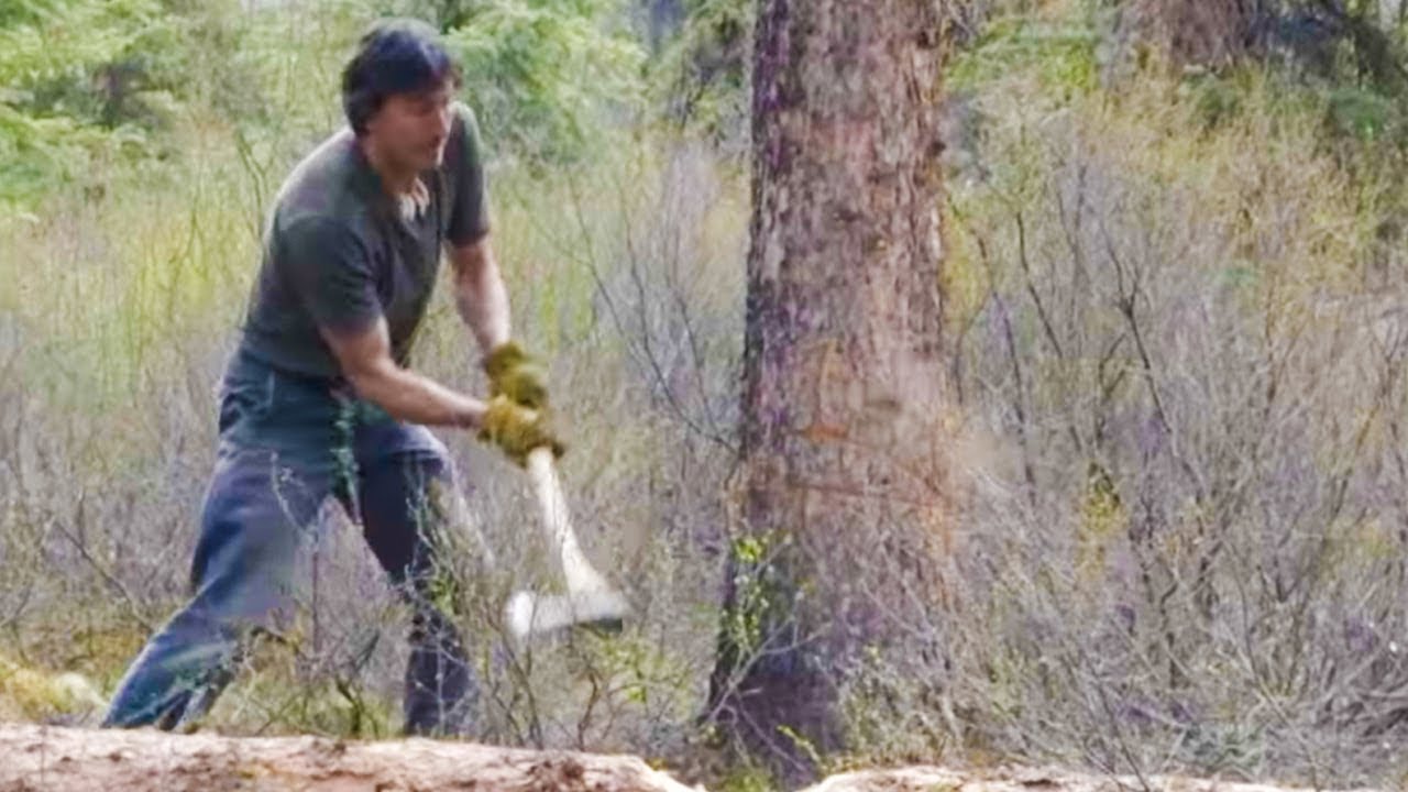 Camera Crew Narrowly Avoids Falling Tree | Life Below Zero | The Travel Edit