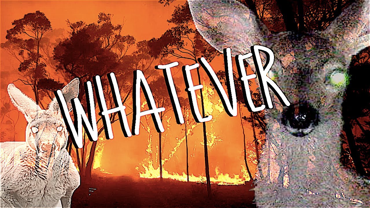 VALARVANS - WHATEVER ***OFFICIAL VISUALISER***