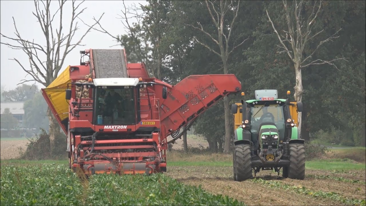 GRIMME MAXTRON 620  beet harvester