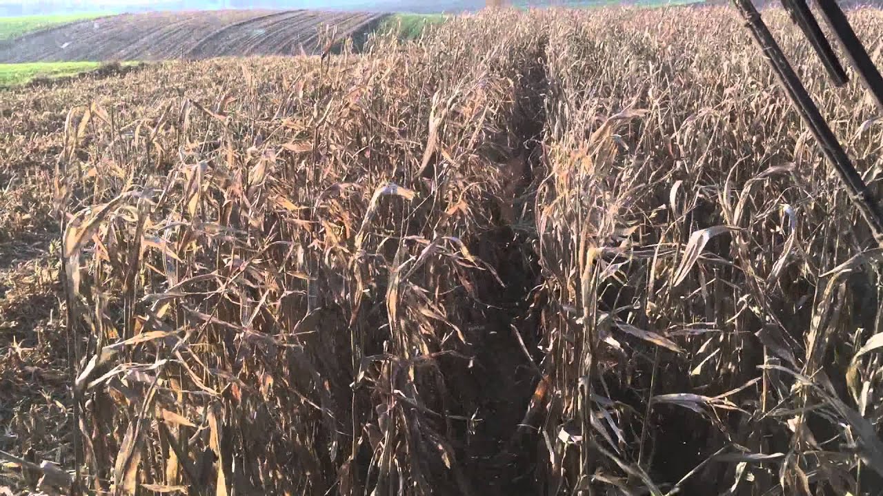Case Axial-Flow 5130 & Geringhoff