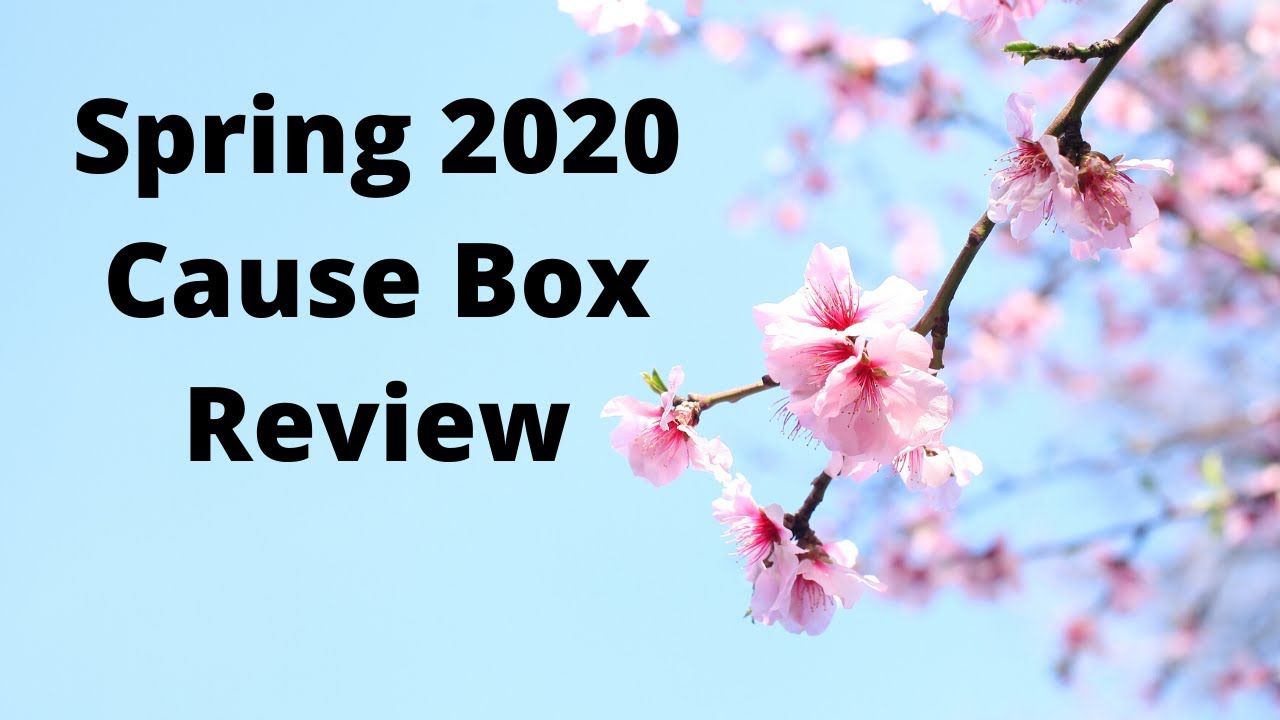 Cause Box Review