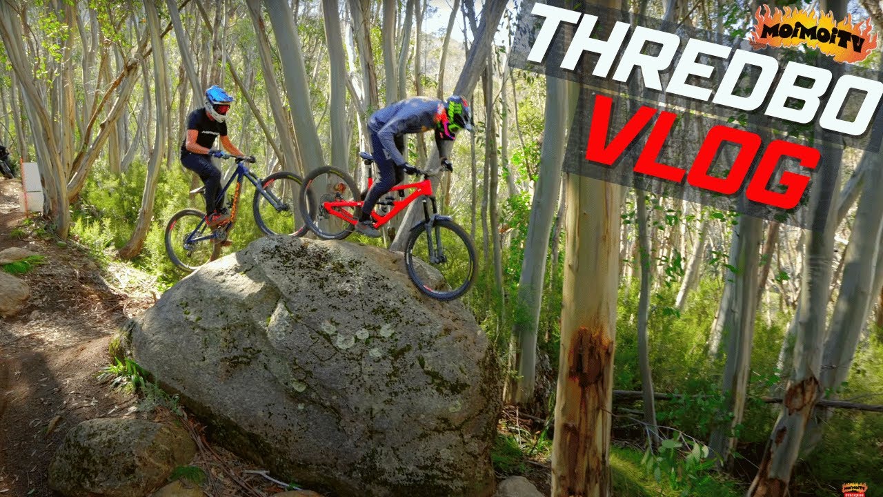 THREDBO MTB едет по кругу с крутой командой | Джек Мойр |