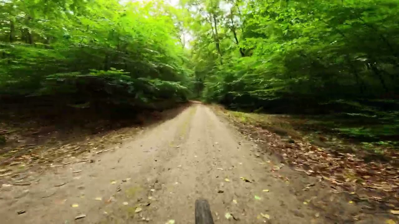 Jesienny ogień na szlaku! Gravel w Trójmiejskim Parku Krajobrazowym 🍂🔥