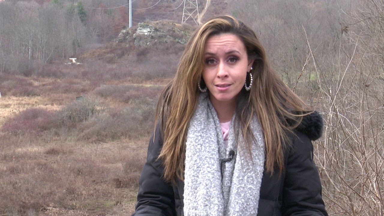Teen pilot who walked away from Dutchess County plane crash 'did everything right'