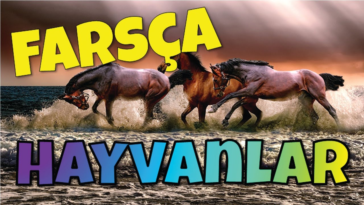 Farsça hayvenlar #hemen_öğren #farsça_öğren #farsça_hayvanlar #farsça_kelimeler #farsça_dersi
