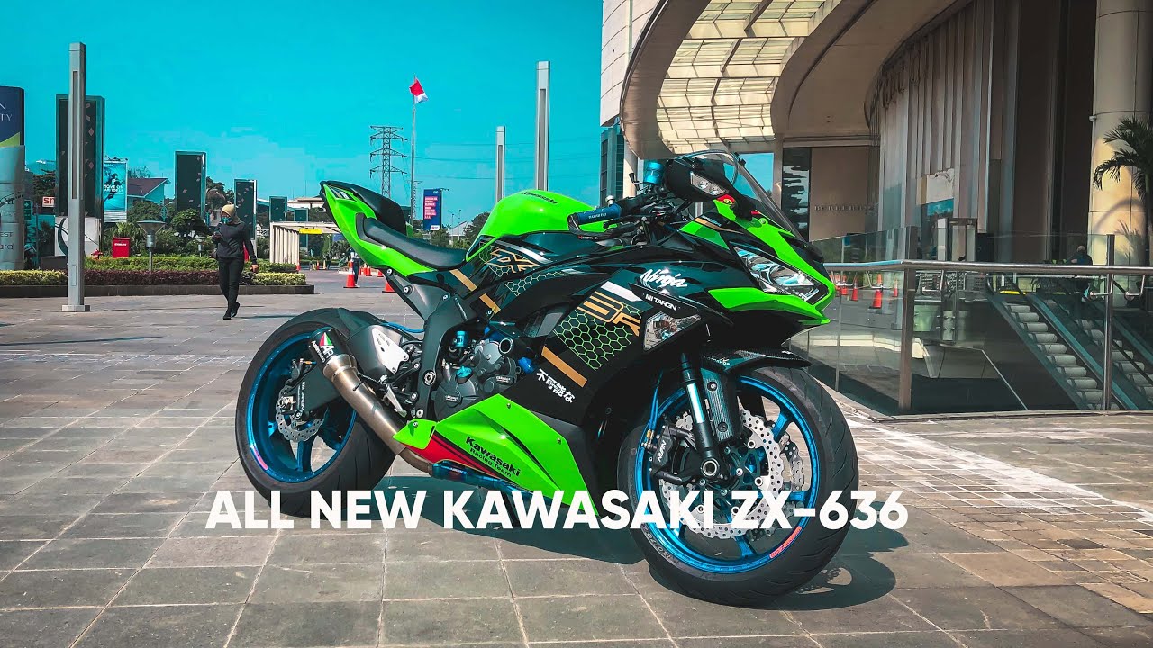 All New Kawasaki ZX636 - NIKU