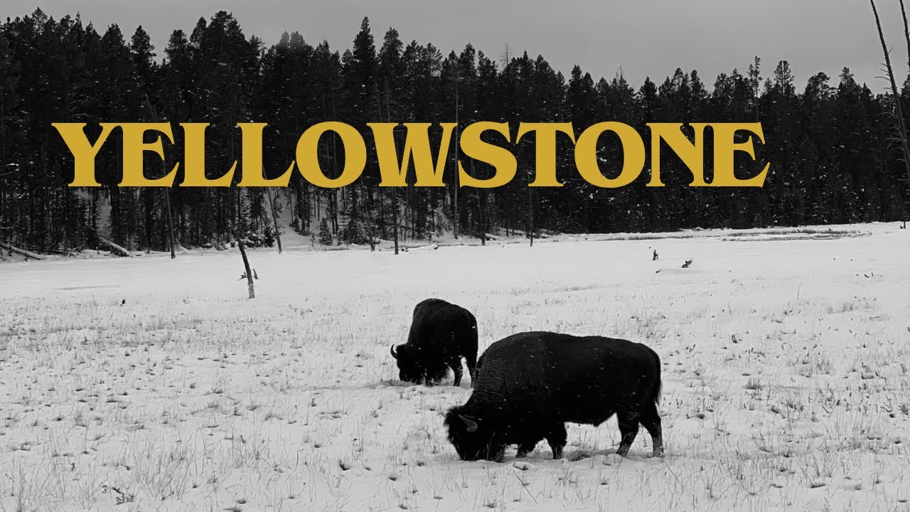 Winter Camping in Yellowstone