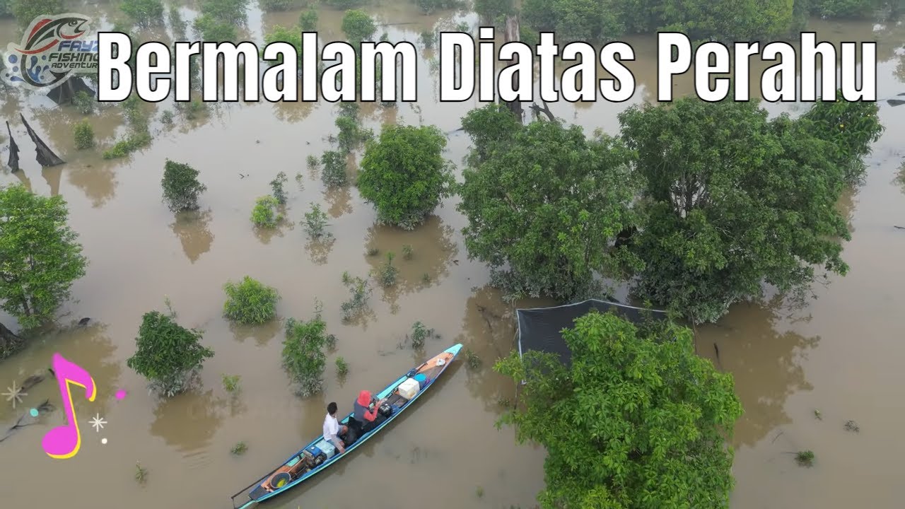 Serbuan Ikan Baung! Dari Saiz Mini Sampai Jumbo Selama 2 Hari bonus Toman 🫣