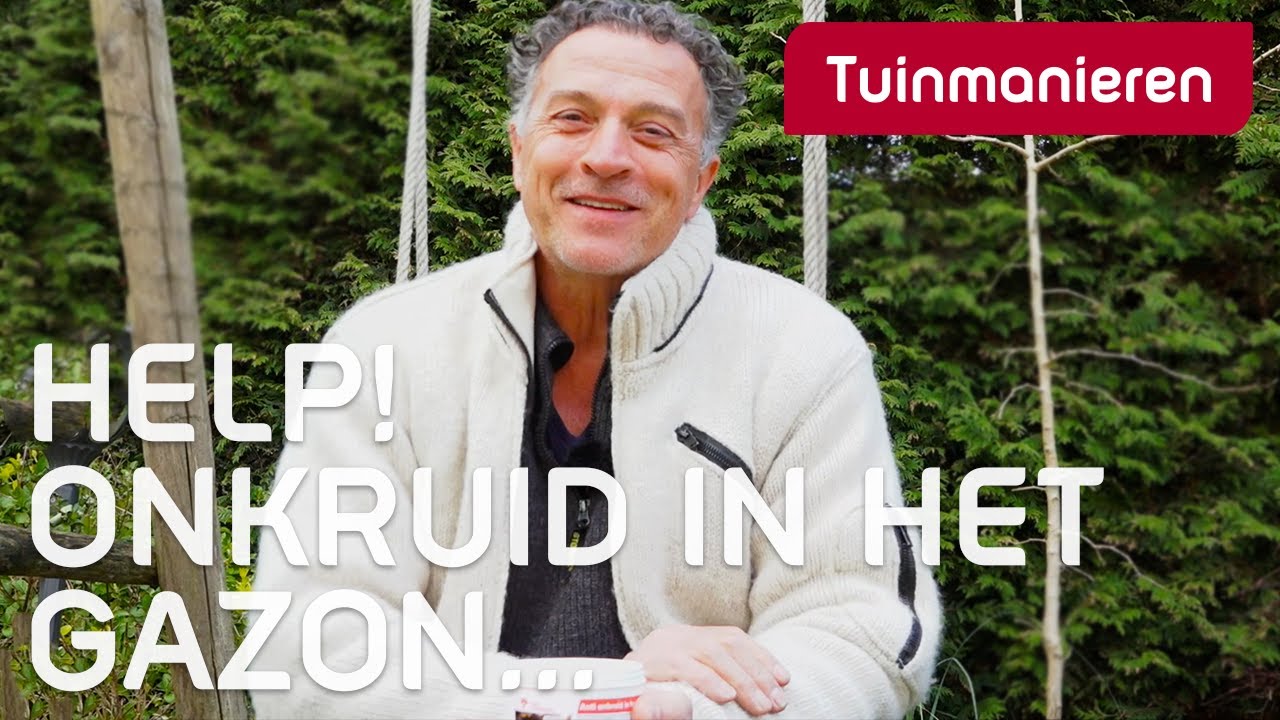 Wat doen tegen onkruid in het gazon? | Tuinmanieren