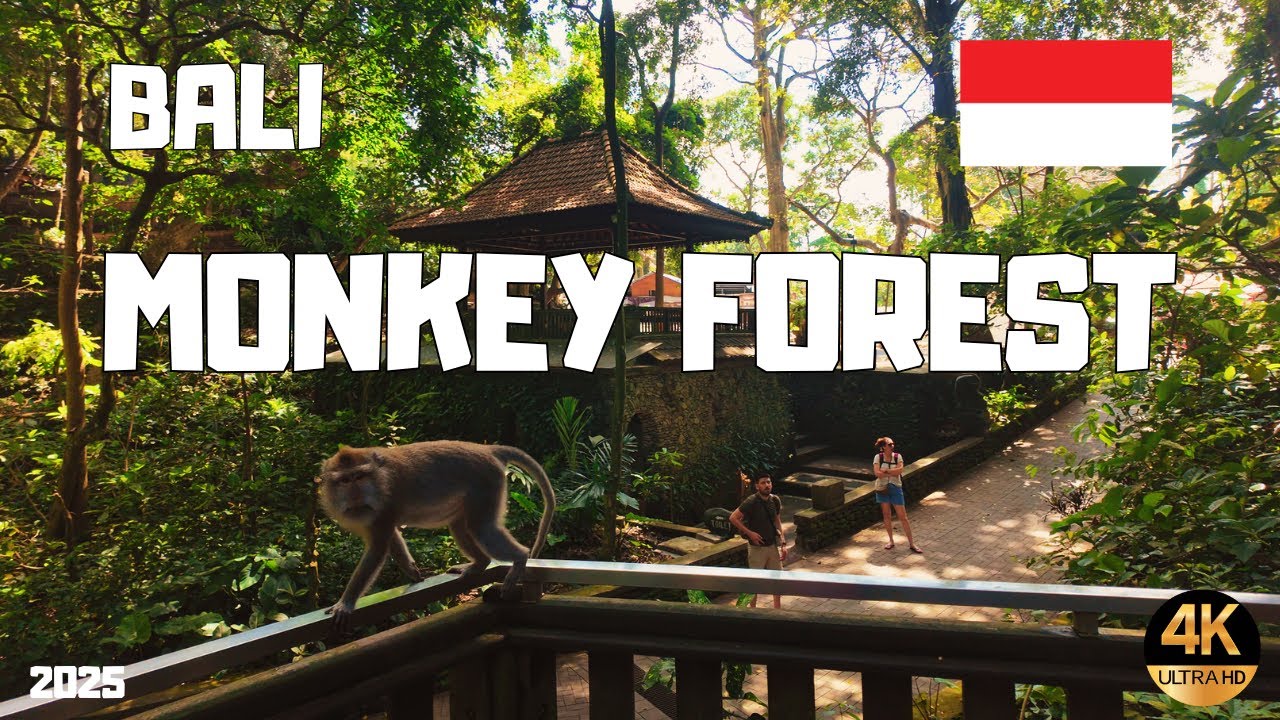Monkey Forest,  Bali Walking Tour | 4K with Street Sounds | EP14 S2