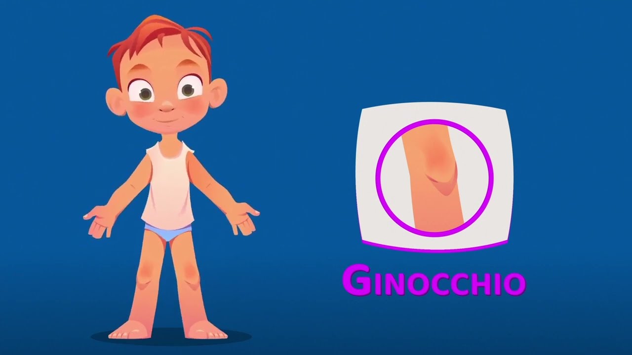 Impara le parti del corpo | Vocabolario per bambini | Biologia prescolare | Impara l'italiano