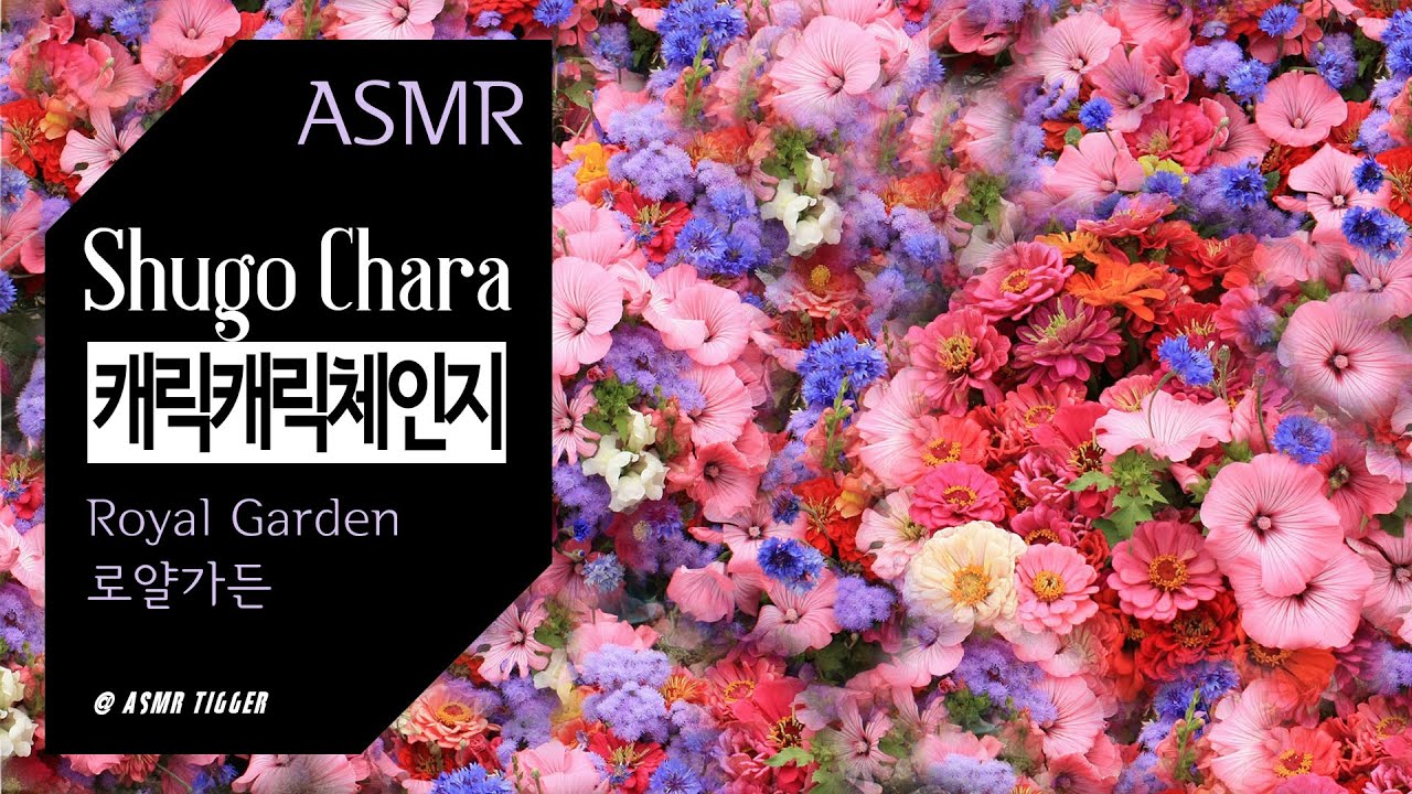 [ASMR] 나의마음을 언롴🧚🧚 캐릭캐릭체인지 로얄가든