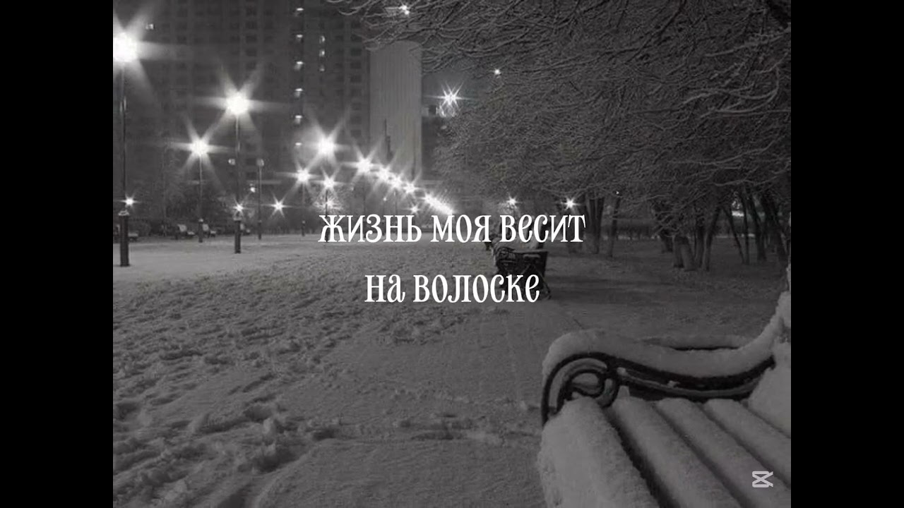 13 февраля 2026 г.