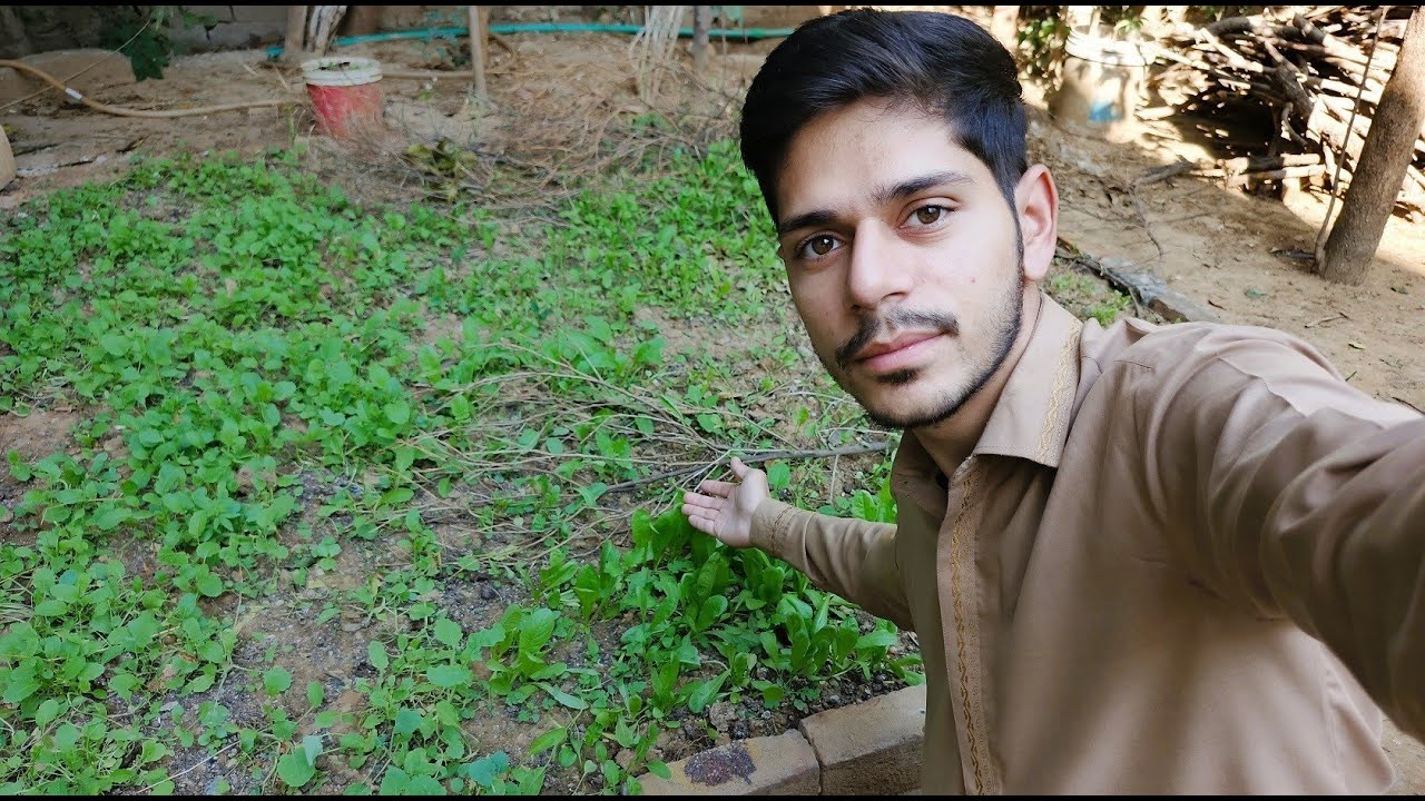 Ghar Ka Desi Saag Or Sabziya 🌿✨
