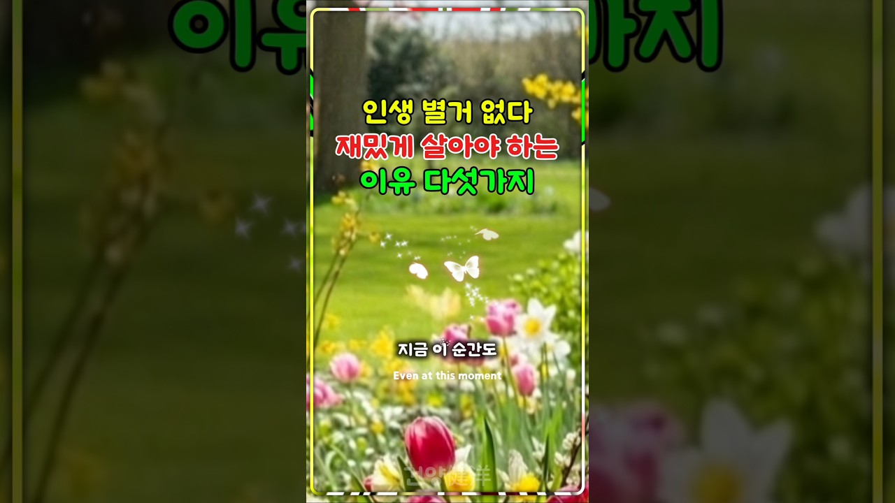 인생 재미있게 살아야하는 이유 5가지 #감성쇼츠 #좋은글 #멋진글귀 #지혜로운삶 #인생  #시니어라이프 #명언 #삶의지혜 #좋은글동영상 #인생조언 #인생명언 #들꽃향기사진여행