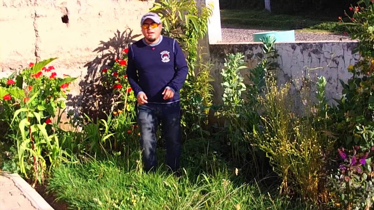 YUYARINA  LOS PEPE RICHARD