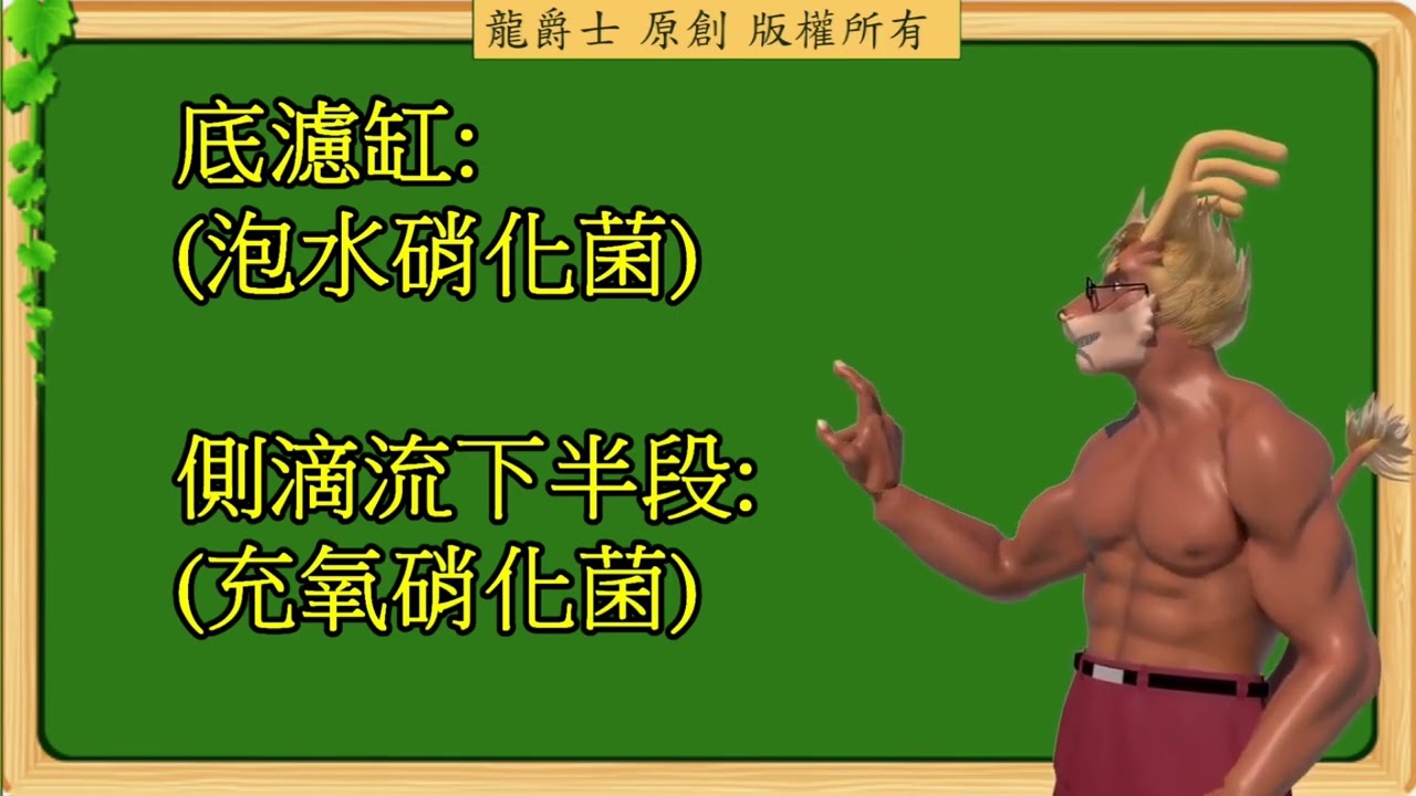 【龍爵士】全能缸使用指南