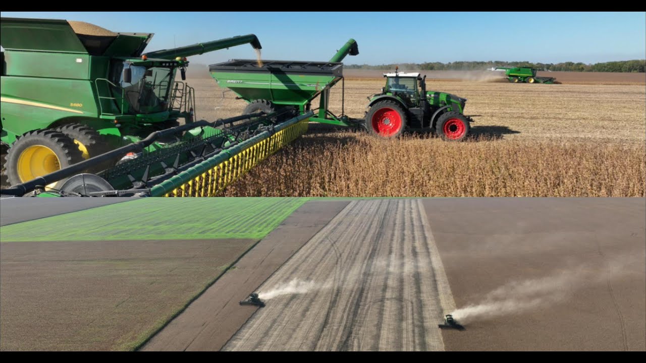 2025 Soybean Harvest in the Red River Valley of Minnesota