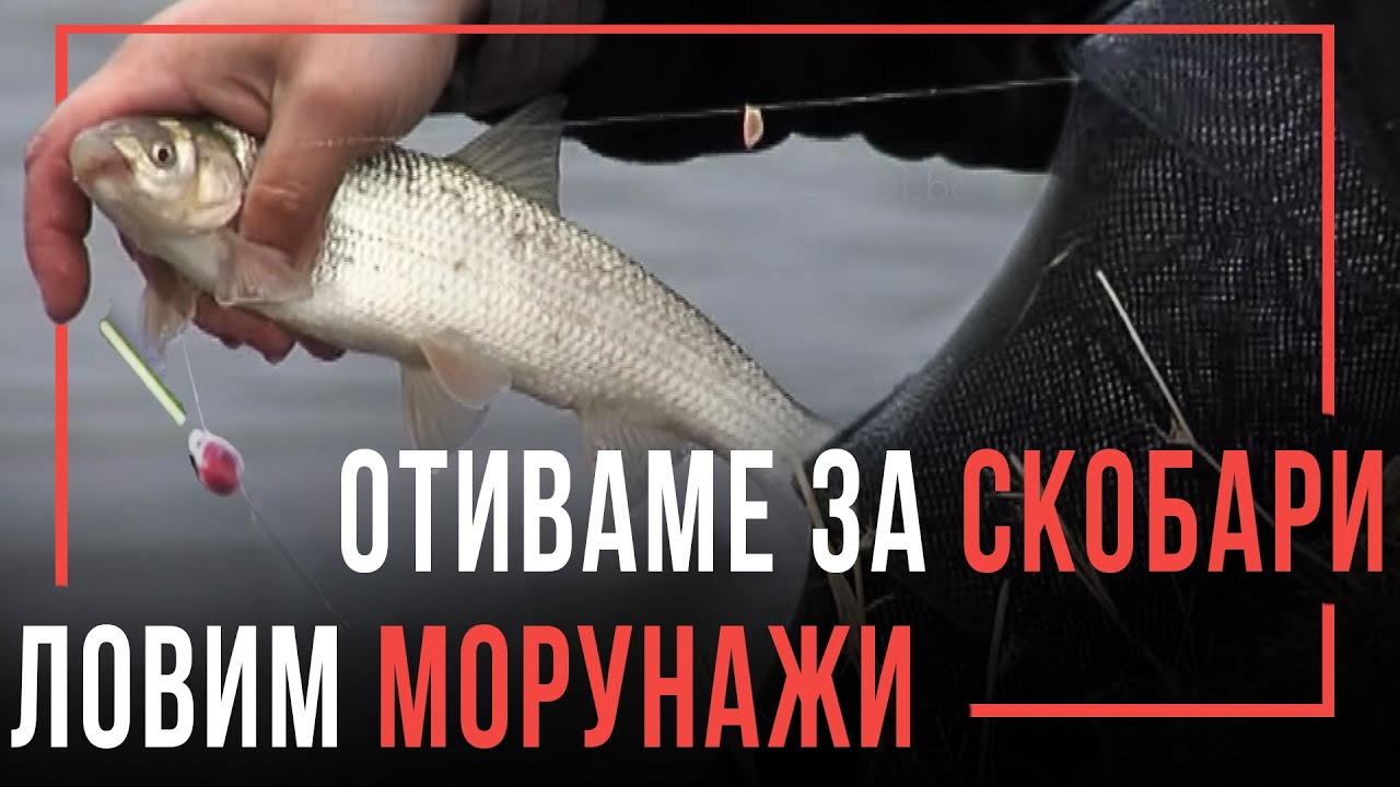 Отиваме за СКОБАРИ ловим МОРУНАЖИ