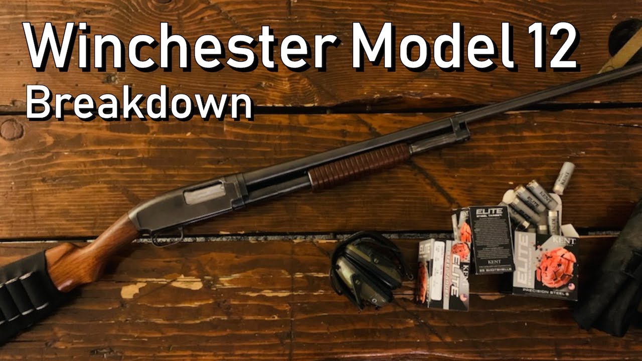 Разборка и сборка Winchester Model 12