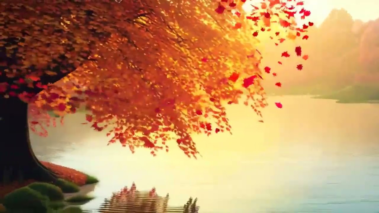 Dust in the Air 🍂 Lofi & Anime Drift