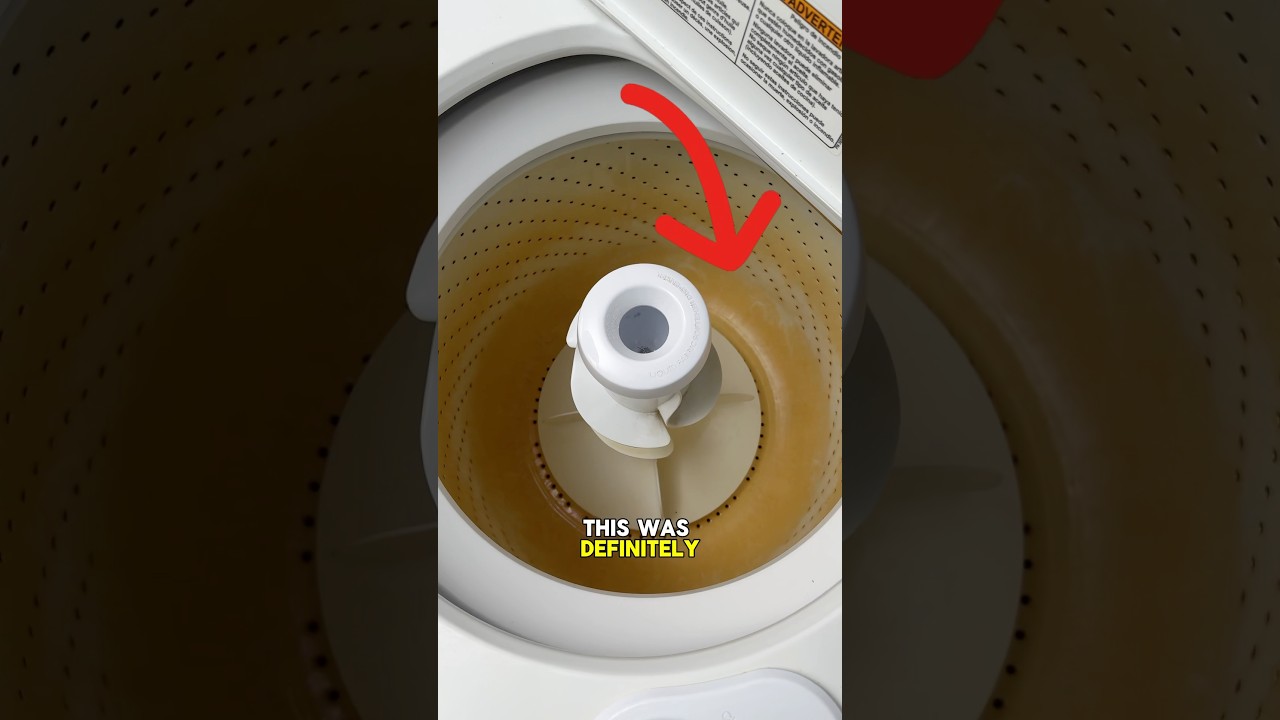 I Saved This Washing Machine 