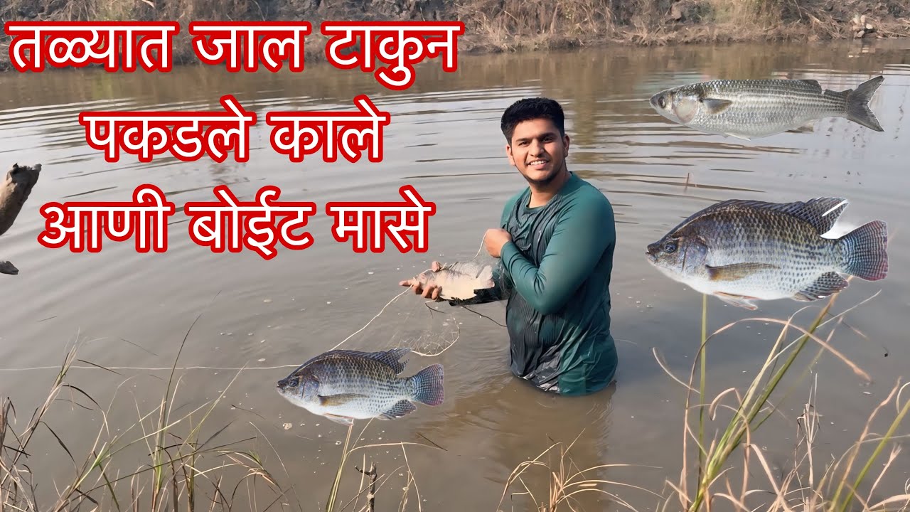 तळ्यात जाल टाकुन पकडले काले आणी बोईट मासे..🐠🐟 Net Fishing | Talyat Jal takun Pakdali Machhi🐟🐠 #viral