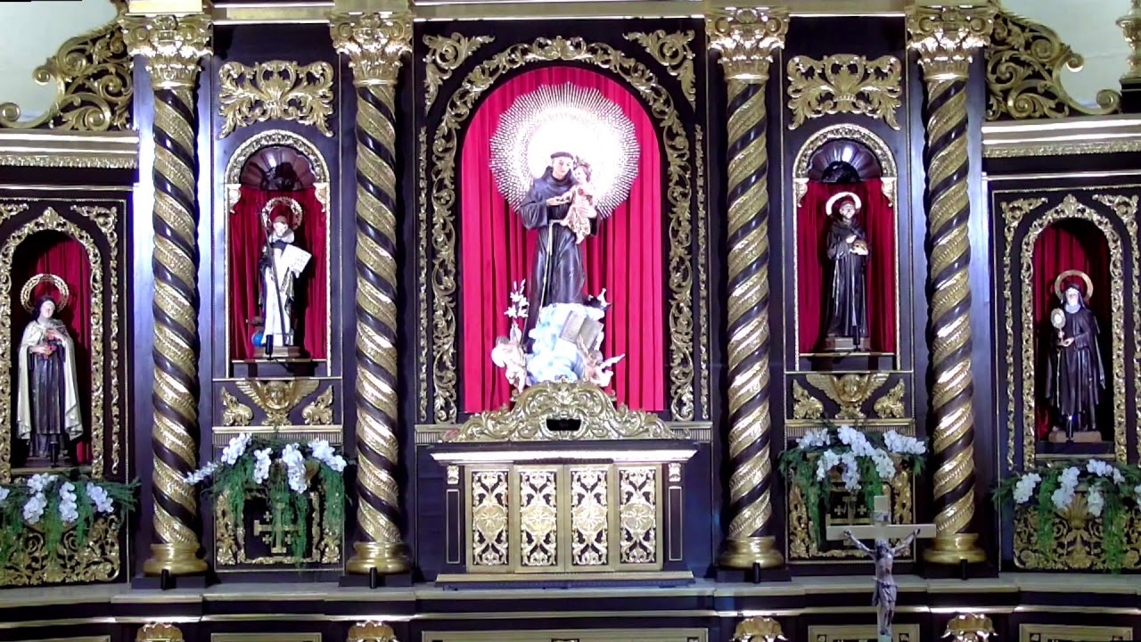 Live || Sunday, February 8, 2026 | 6:00 pm - Celebration of the Holy Mass.