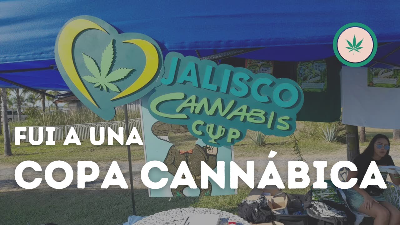 Fui a una Copa Cann&aacute;bica en Jalisco, M&eacute;xico
