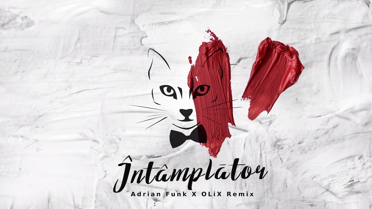 The Motans - Intamplator | Adrian Funk X OLiX Remix