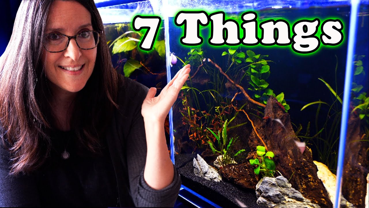 7 Things You NEED to Know Before Buying a Nano Aquarium!
