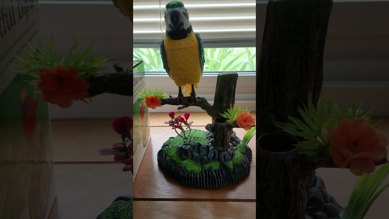 Heartful Animated Singing Bird