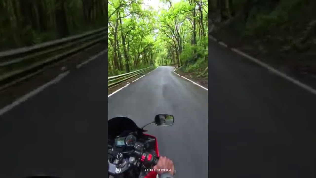 🏍️❣️🌿 