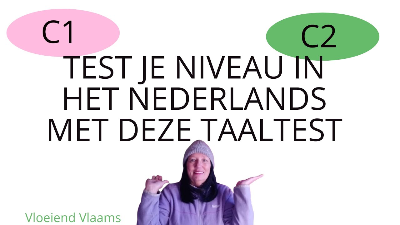 die, dit, dat, deze oefening en uitleg B1-B2